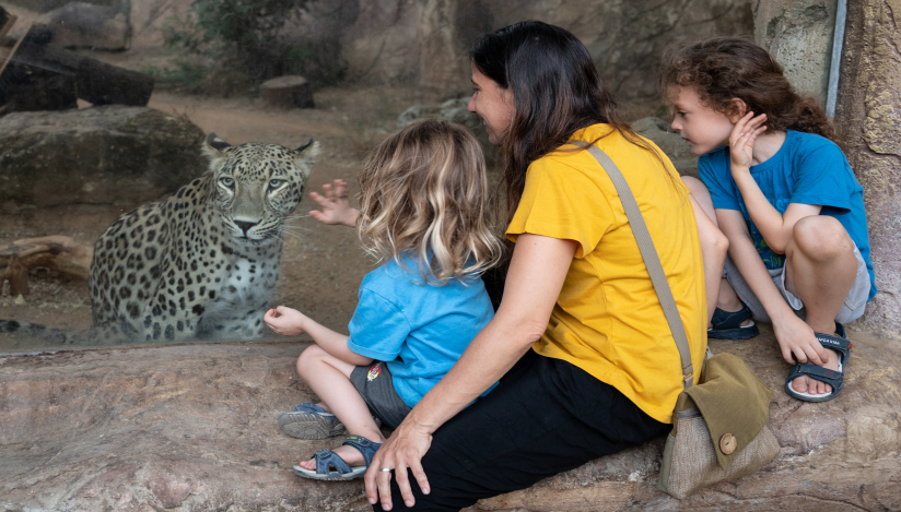 ספארי רמת גן, לגדול